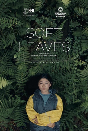 Нежные листья